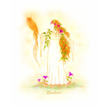 Goddess of Wisdom T-Shirt