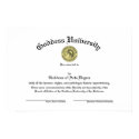 Goddess University Diploma Poster posters