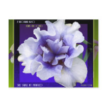 Godly Woman postcard
