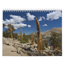 God's Creation Calendar