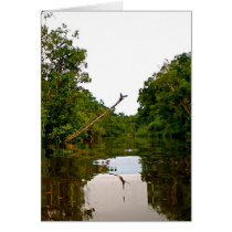 God's Drawbridge cards