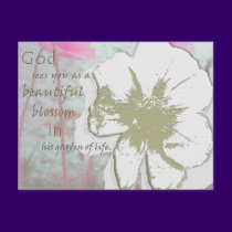 "Gods Garden" Digital Collage postcards