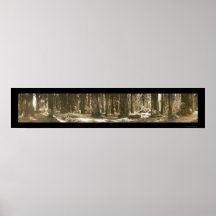 Gods Handiwork Redwood Photo 1912 Poster