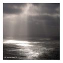 God's Searchlight posters