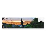 God's Window with bird in flight Bumper Sticker