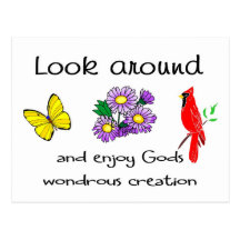 God's wondrous creation postcard