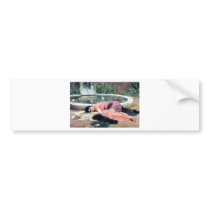 Godward woman by lilly pond dolce far niente bumper stickers