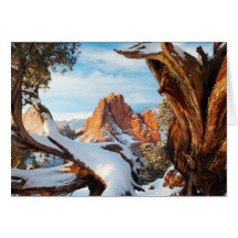 gog-apr2011 greeting card