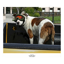 Goggle Dog posters