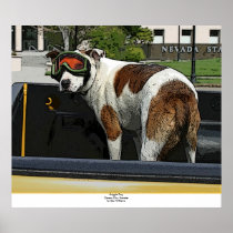 Goggle Dog Poster