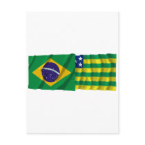 Goiás &  Brazil Waving Flags Postcards