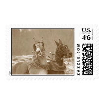 Goin' In Different Directions postage