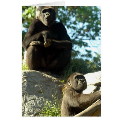 Going Ape Card by providencephoto