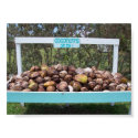 Going Coconuts posters by allenwood Going Coconuts posters