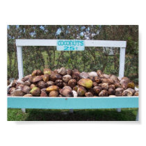 Going Coconuts posters by allenwood Going Coconuts posters