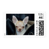 Going for a ride stamps