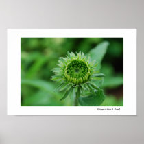 Going Green Print