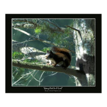 "GOING OUT ON A LIMB" Art Poster posters