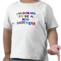Going to be a Big Brother t-shirts