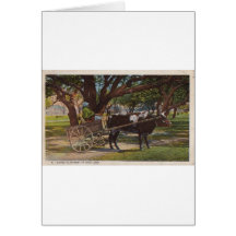Going To Market In Dixie Land Cards