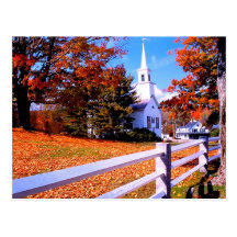 Going to the Chapel of Love Post Cards