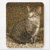 Going Wild ;-) mousepads