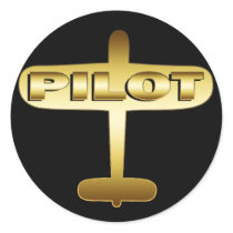 GOLD AIRPLANE PILOT STICKERS