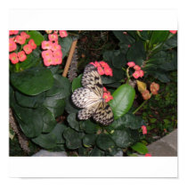 Gold and black butterfly on pink flowers posters