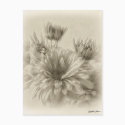 Gold and Brown Chrysanthemums 1 Antiqued postcards by AntiquedArt Gold and Brown Chrysanthemums 1 Antiqued postcards