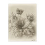 Gold and Brown Chrysanthe...