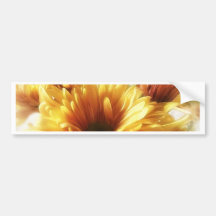 Gold and Brown Chrysanthemums 1 Bumper Stickers