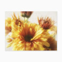 Gold and Brown Chrysanthemums 1 postcards by LivingNature Gold and Brown Chrysanthemums 1 postcards
