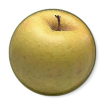 Gold Apple Watercolor - Magnet