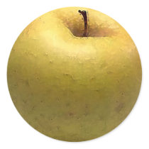 Gold Apple Watercolor - sticker