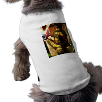 Gold Balls Pet Shirt