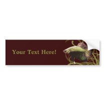 Gold Betta Siamese Fighting Fish Bumper Stickers