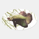 Gold Betta Siamese Fighting Fish Oval Sticker