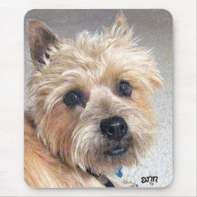 Gold Cairn Terrier Mouse Pads