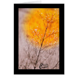 Gold Greeting Card