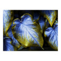 Gold Claidium Leaves posters