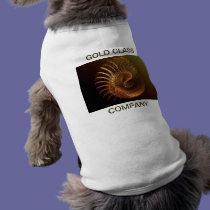 Gold class company pet clothing