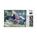Gold Coin Mine postage