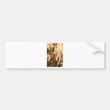 Gold cotton tail flowers bumper sticker