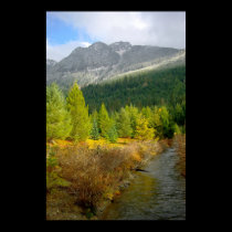 Gold Creek posters
