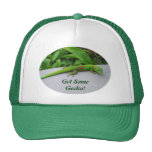 Gold Dust Day Gecko – Audition and Get Some Gecko Mesh Hat
