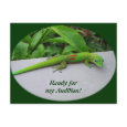 Gold Dust Day Gecko - Audition and Get Some Gecko Post Cards