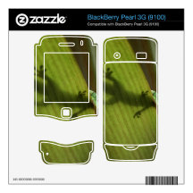 Gold Dust Day Gecko BlackBerry Pearl Skins