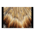 Gold Dust Feathers posters