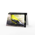 Gold Finch Card by kahmier Gold Finch Card