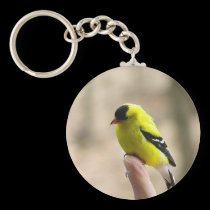 Gold Finch on My Finger keychains